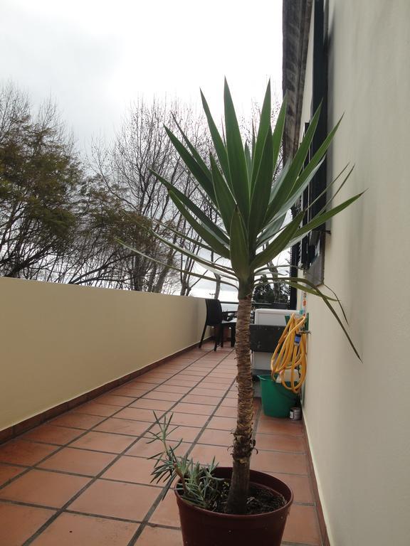 Apartment Alameda With Sea View Machico  Kültér fotó